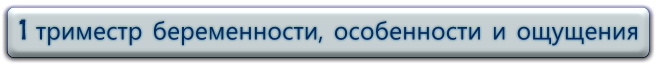 Первый триместр беременности, что происходит на 1 триместре беременности