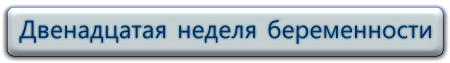 Смотреть видео, беременность 12 недель