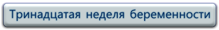 13 неделя беременности, изменения в организме женщины