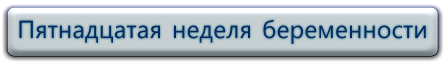 Смотреть видео 15 неделя беременности