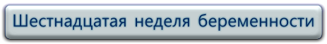 16 неделя беременности, смотреть видео