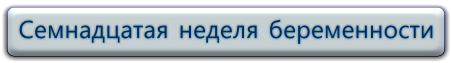 Смотреть видео, 17 неделя беременности