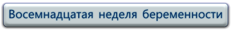 18 неделя беременности ВИДЕО