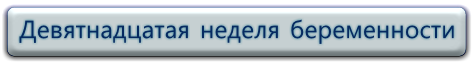 19 неделя беременности, смотреть видео