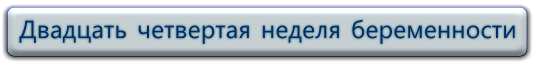 24 неделя беременности: фото, ощущения, развитие плода