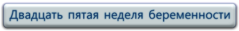 25 неделя беременности: фото живота, УЗИ и вес плода, боли