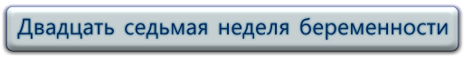 27 недель беременности