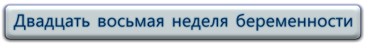 28 неделя беременности - Беременность по неделям 