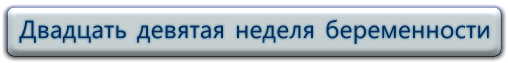 29 неделя беременности - Беременность по неделям 