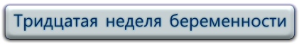 30 неделя беременности фото и УЗИ на 30 неделе беременности.