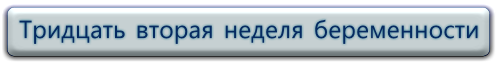 32 неделя беременности - Беременность по неделям 