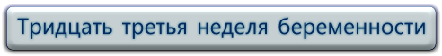 33 неделя беременности - Беременность по неделям