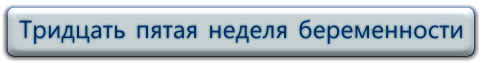 35 неделя беременности. Облегчение боли при схватках