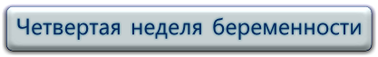 Беременность 4 недели, ощущения и признаки