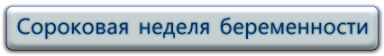 40 неделя беременности