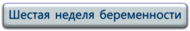 6 неделя беременности, видео