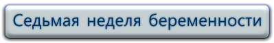 7 неделя беременности, видео