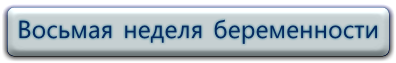 8 неделя беременности, видео